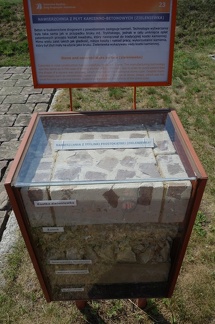 Nawierzchnia 23: płyty kamienno-betonowe (zieleniewka)