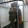 Słoń bojowy